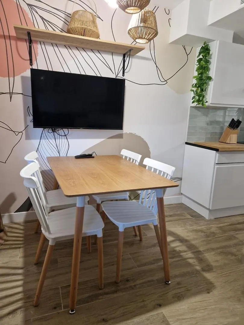 Apartment Convivial Et Coquet Au Coeur De Cannes